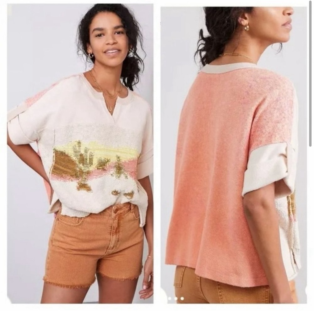 Pilcro Desert Intarsia sweater top from Anthropologie